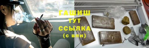 гашик Снежногорск